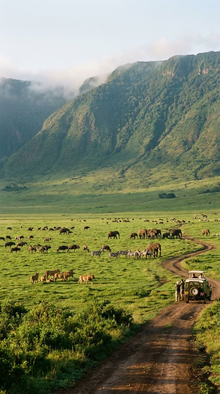 7-Day Safari