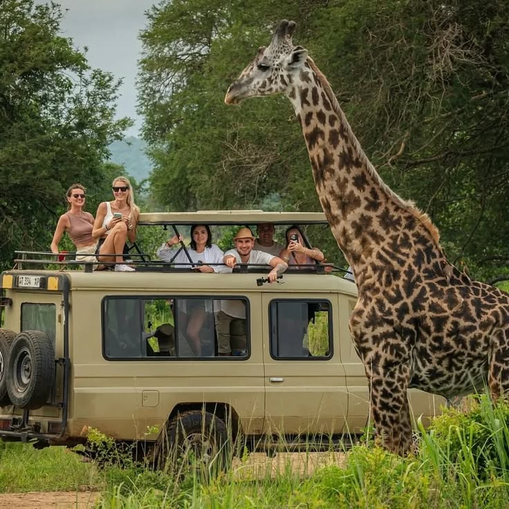 3-Day Safari