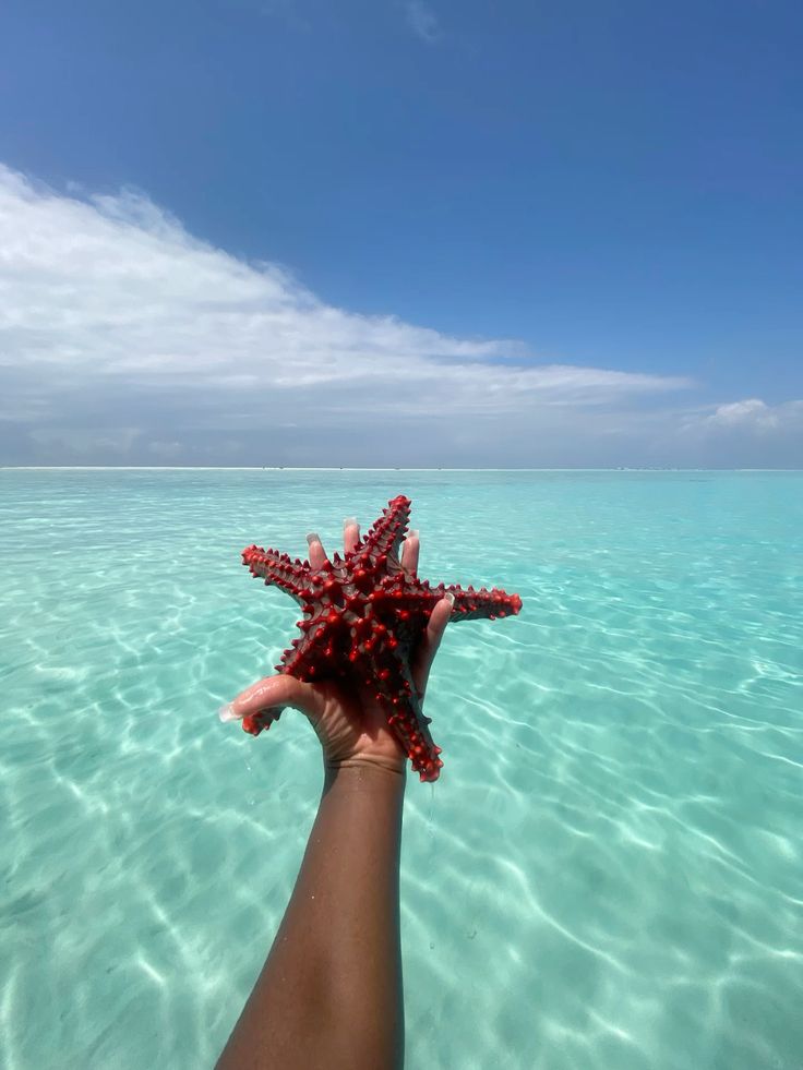 Zanzibar beach extension